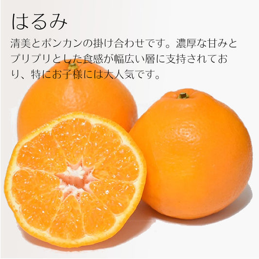 【お徳用】ブレンドジュースと3種食べ比べみかんセット