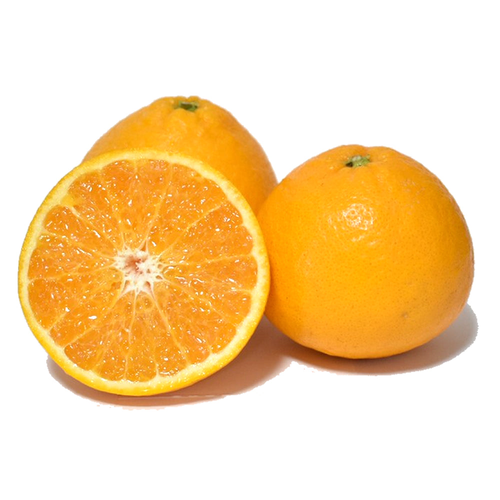 陽南姫(ひなひめ)