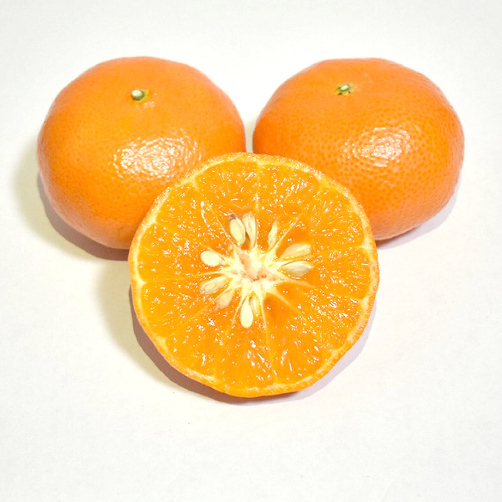 アンコール – GFAJ