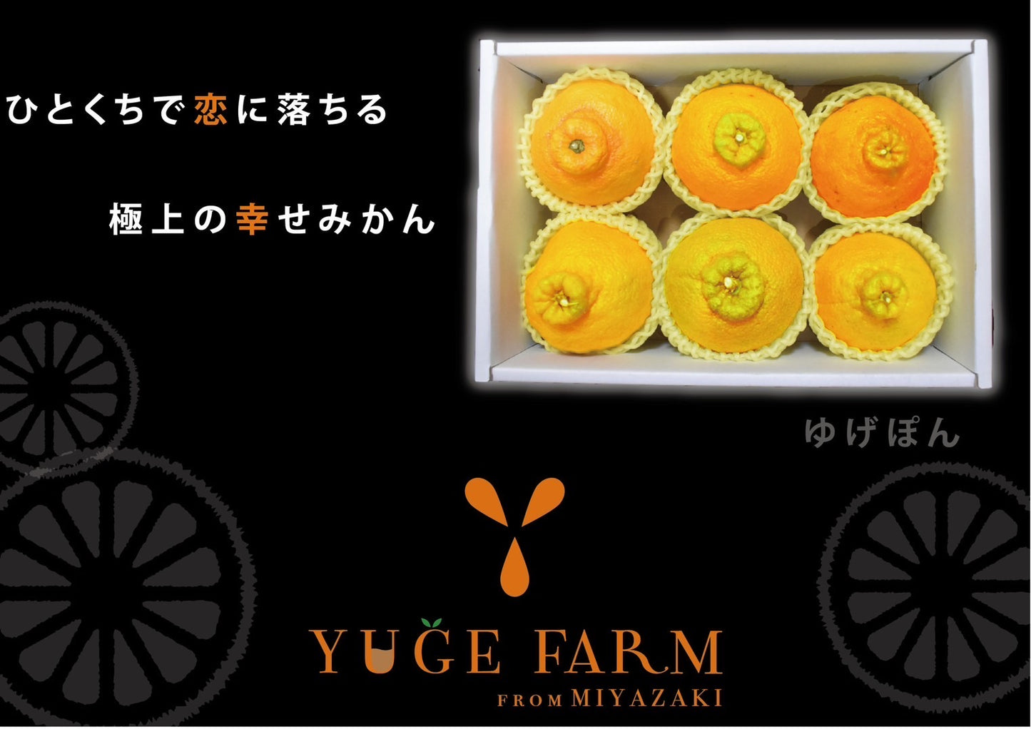【会員価格】【贈答用】ユゲポン 大玉6個入 約2.5kg 糖度厳選 お歳暮や贈り物に