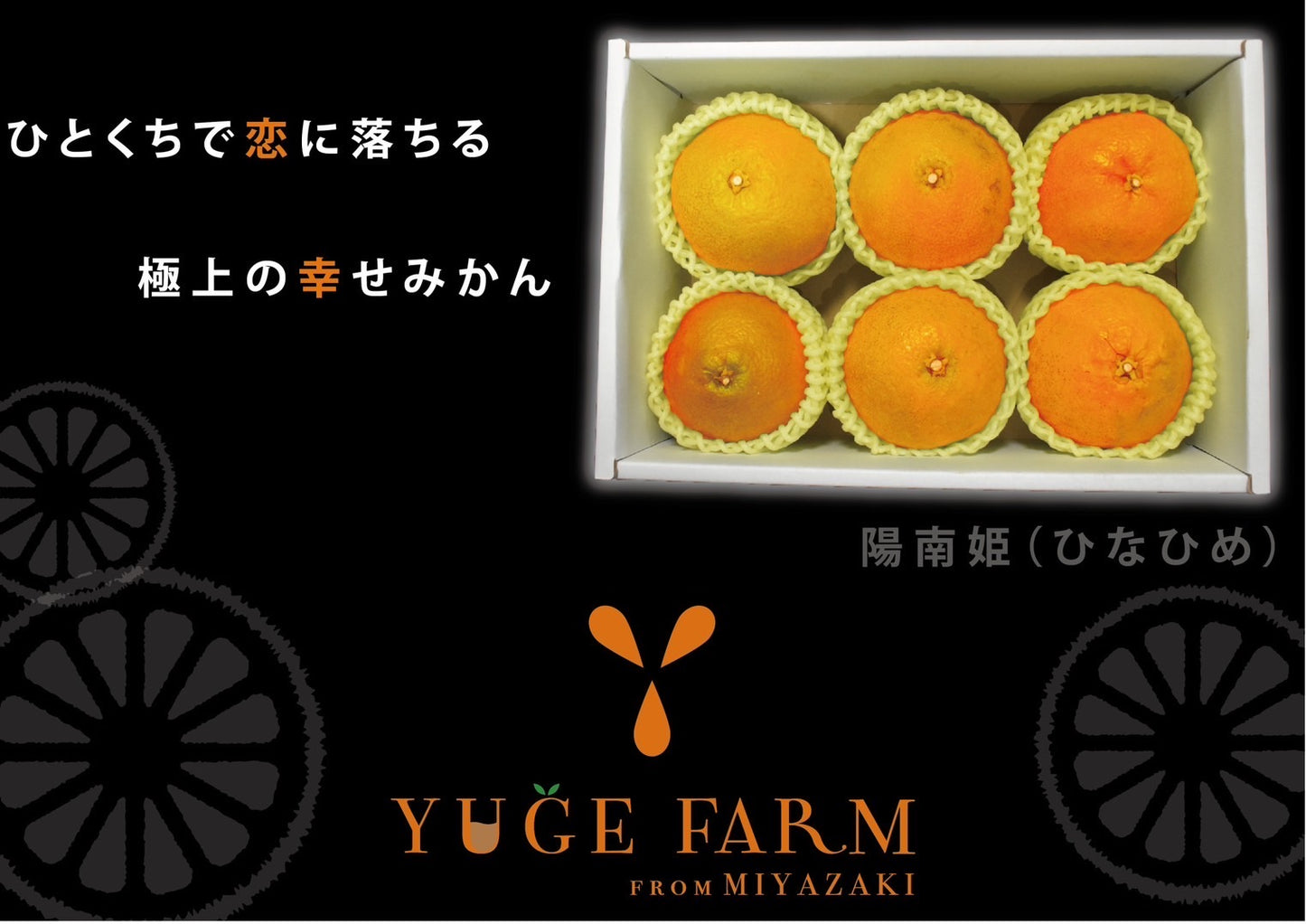 【贈答用】陽南姫(ひなひめ) 大玉6個入 糖度厳選 お歳暮や贈り物に