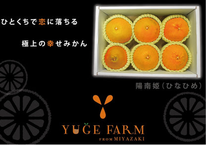 【贈答用】陽南姫(ひなひめ) 大玉6個入 糖度厳選 お歳暮や贈り物に