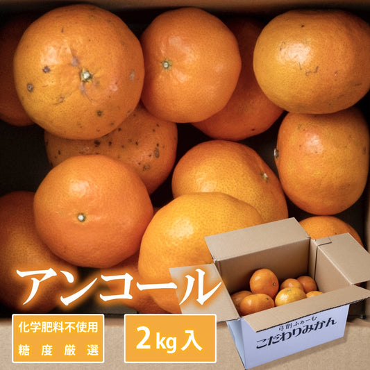 【お徳用】アンコール 約2kg 糖度厳選 お歳暮や贈り物に
