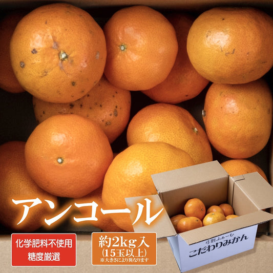 【お徳用】アンコール 約2kg 糖度厳選 お歳暮や贈り物に