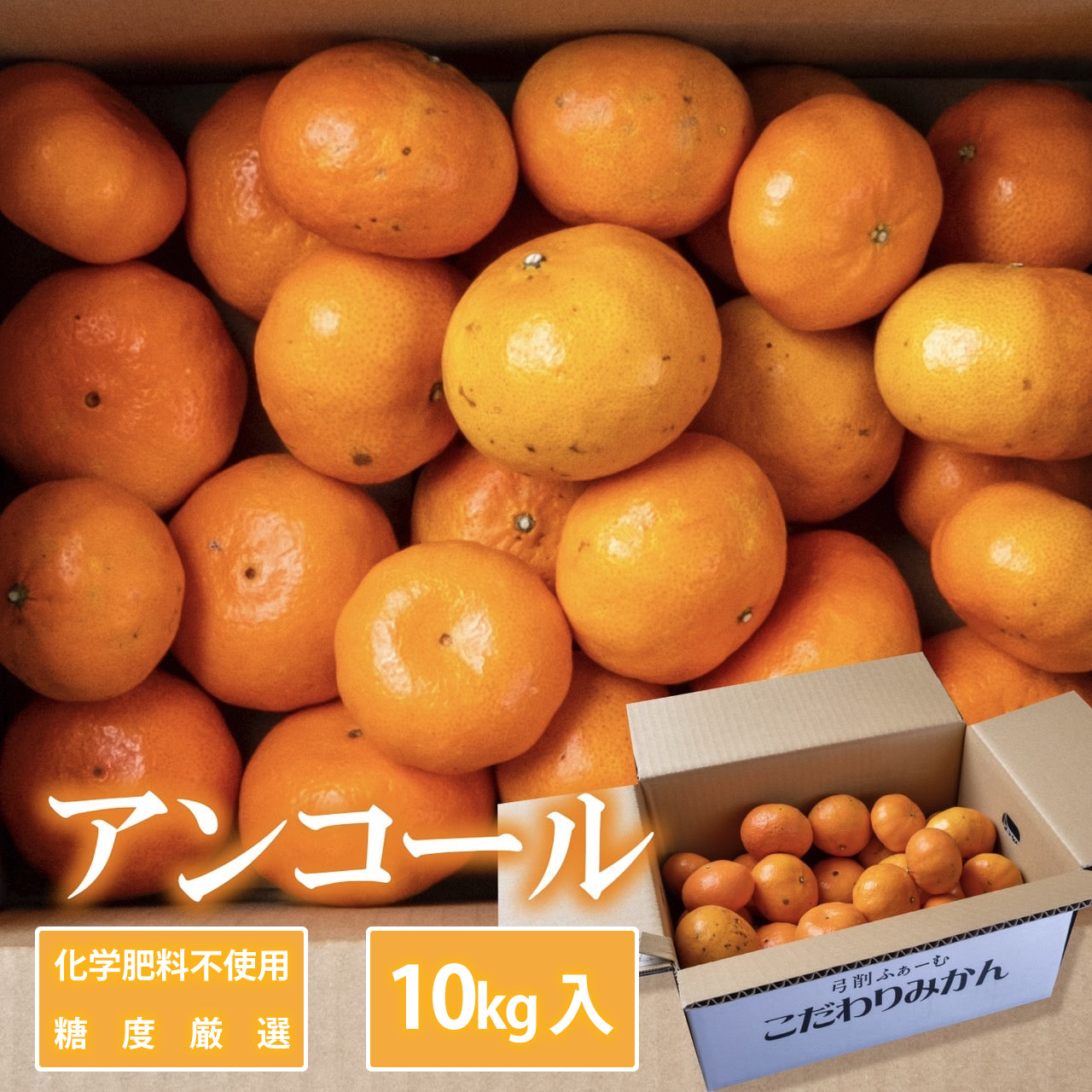 【お徳用】アンコール 約10kg 糖度厳選 お歳暮や贈り物に