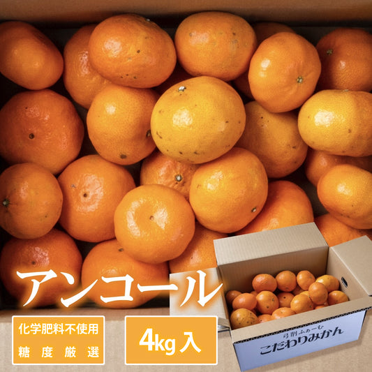 【お徳用】アンコール 約4kg 糖度厳選 お歳暮や贈り物に