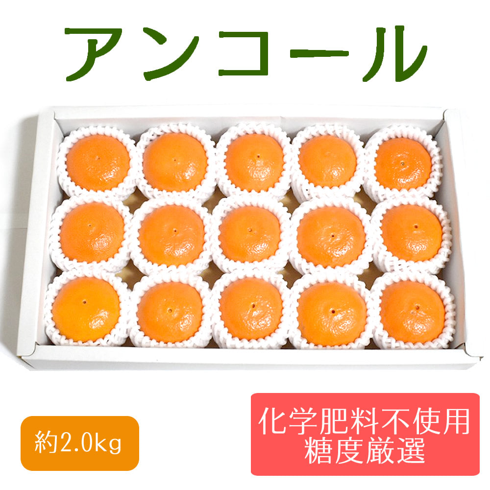 【贈答用】アンコール 中玉 約2kg 糖度厳選 お歳暮や贈り物に