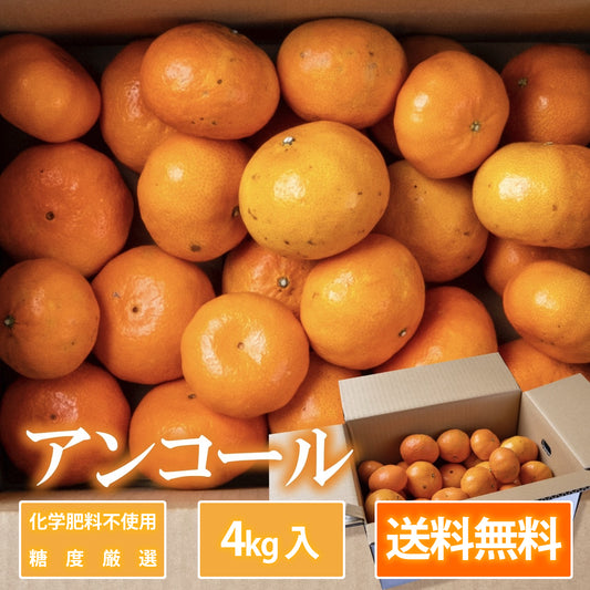 【会員価格】【お徳用】アンコール 約4kg 糖度厳選 お歳暮や贈り物に