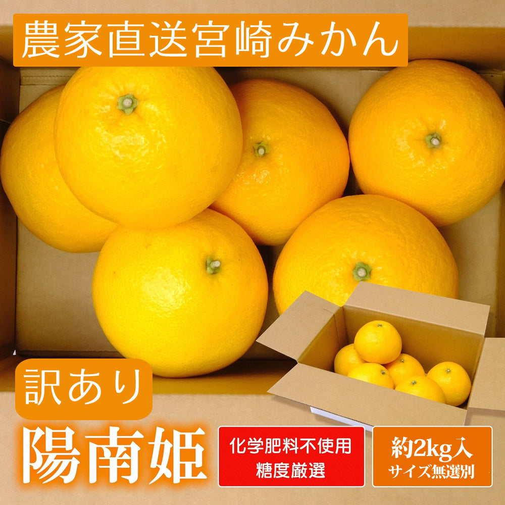 【会員価格】【お徳用】陽南姫(ひなひめ) 約2kg 糖度厳選 お歳暮や贈り物に