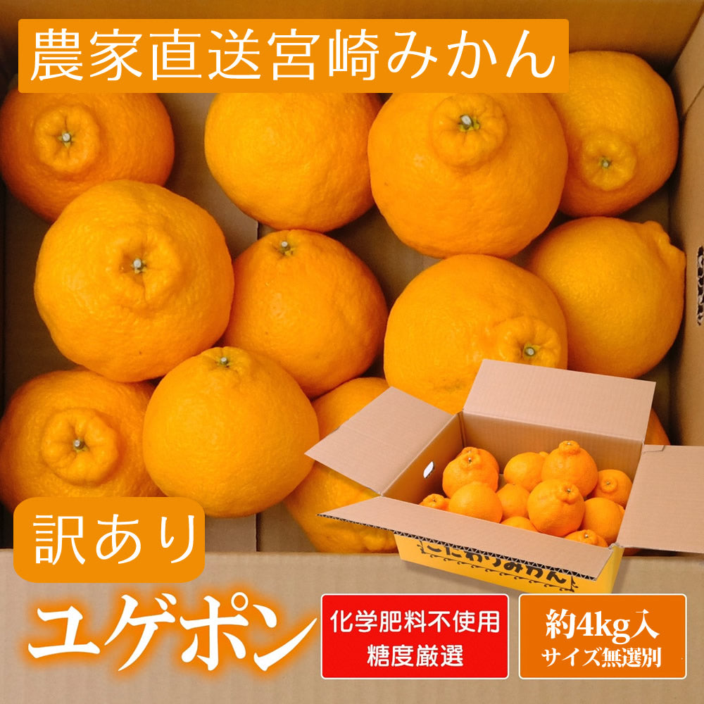 【会員価格】【お徳用】ユゲポン 約4kg 糖度厳選 お歳暮や贈り物に