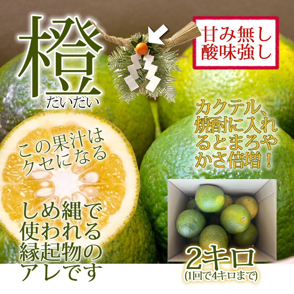 宮崎県産 橙(だいだい) 約2kg