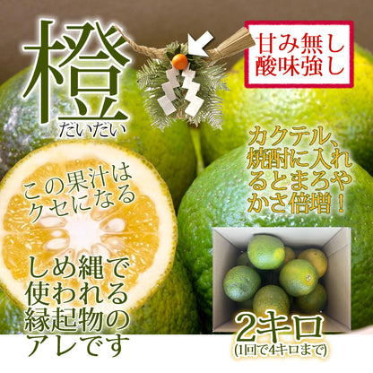 宮崎県産 橙(だいだい) 約2kg