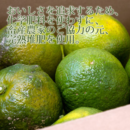 宮崎県産 橙(だいだい) 約4kg