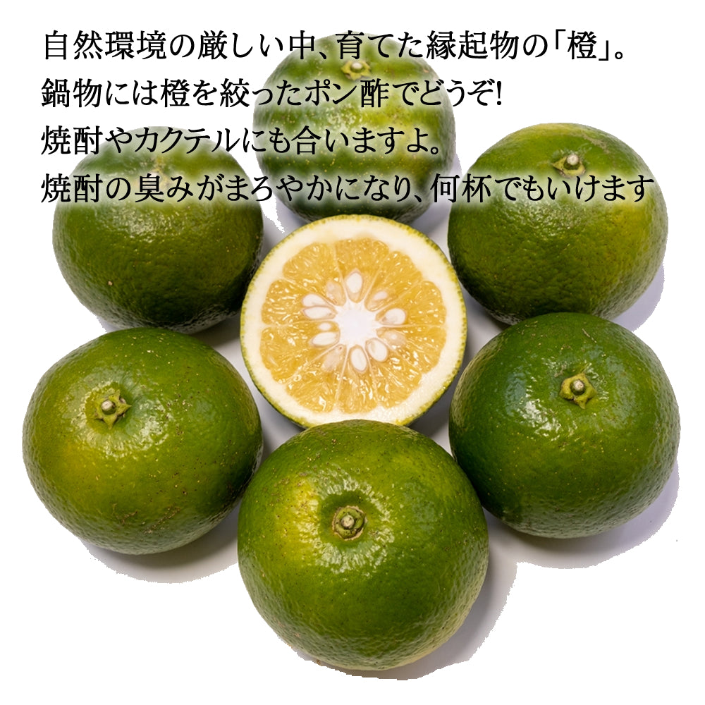 宮崎県産 橙(だいだい) 約4kg