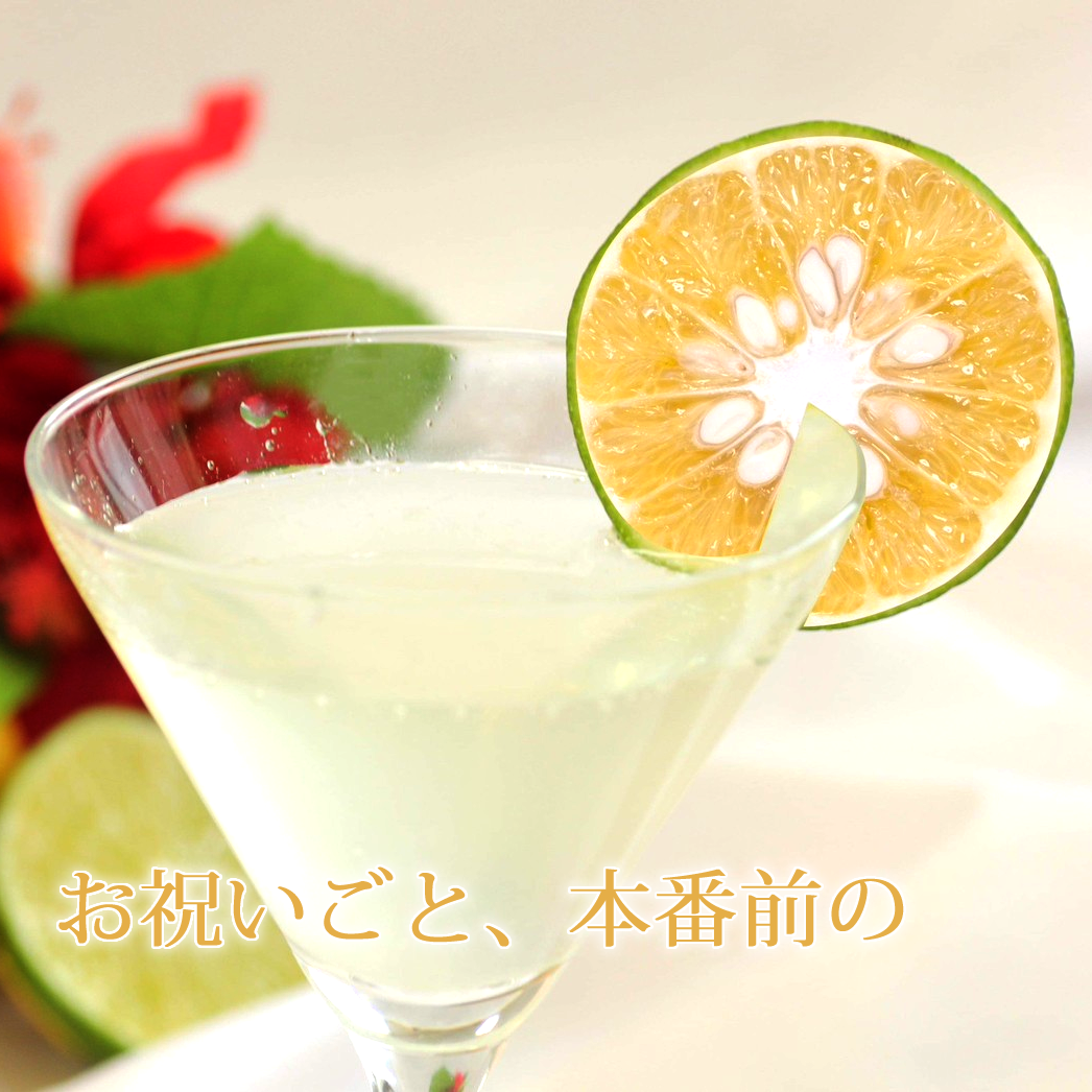 宮崎県産 橙(だいだい) 約4kg