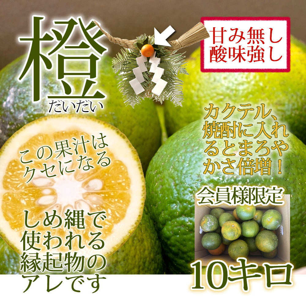 【会員価格】宮崎県産 橙(だいだい) 約10kg