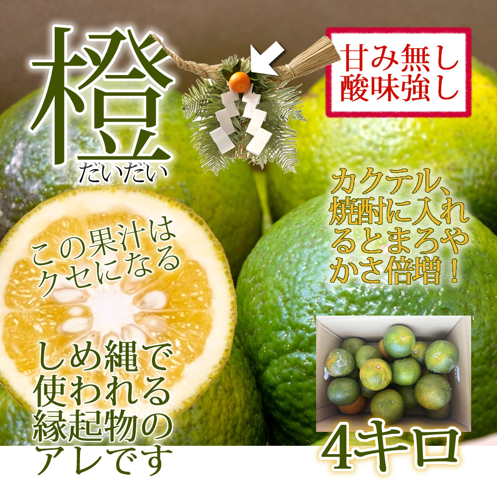 宮崎県産 橙(だいだい) 約4kg
