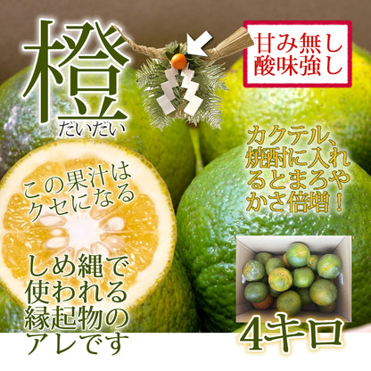 宮崎県産 橙(だいだい) 約4kg