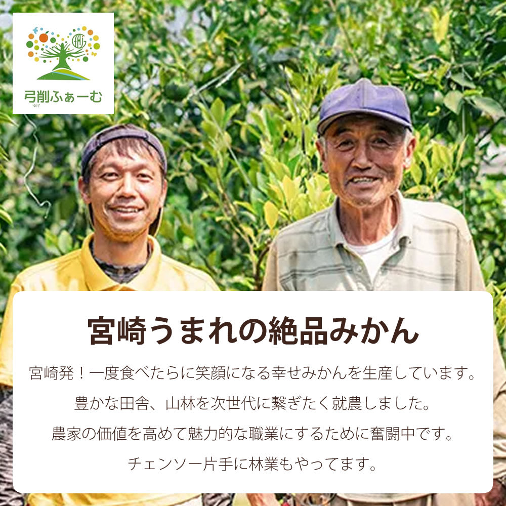 【贈答用】陽南姫(ひなひめ) 中玉2個入 糖度厳選 お歳暮や贈り物に