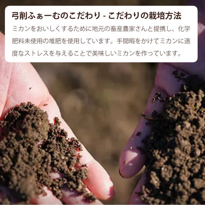 【贈答用】陽南姫(ひなひめ) 中玉2個入 糖度厳選 お歳暮や贈り物に