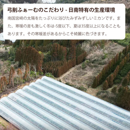 【贈答用】陽南姫(ひなひめ) 中玉2個入 糖度厳選 お歳暮や贈り物に